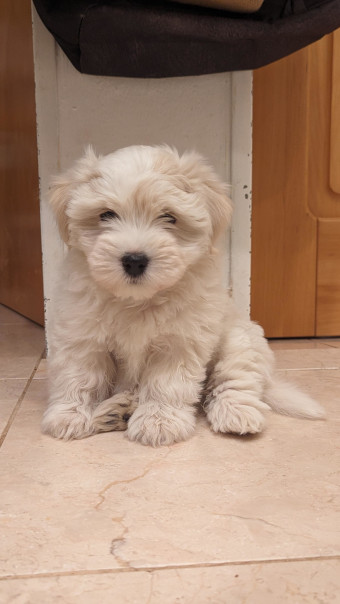 Nelly 2